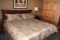 Snowbird Lodge Westbank Esterno foto